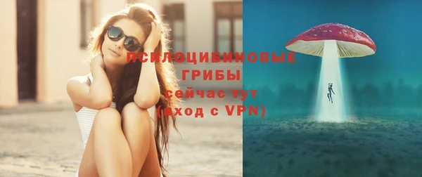 соль ск Алзамай