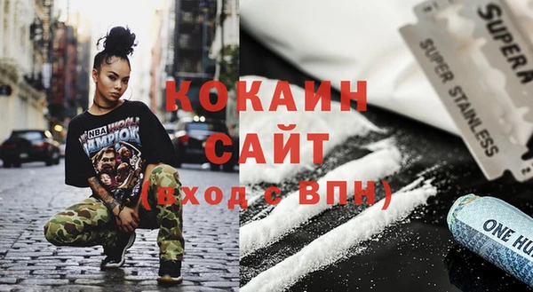 соль ск Алзамай