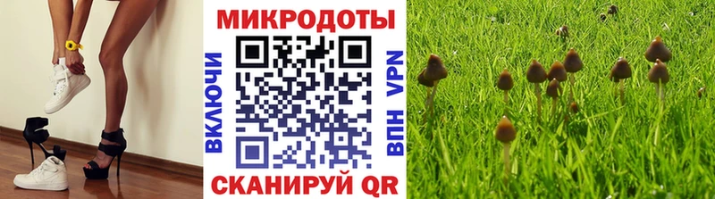 Галлюциногенные грибы ЛСД  хочу наркоту  Сыктывкар 